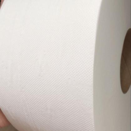 Imagem de Papel Higiênico Rolão 100% celulose Folha dupla Renova 8 rolos de 250 metros Ótima absorção e Maciez, Ideal para Uso Institucional