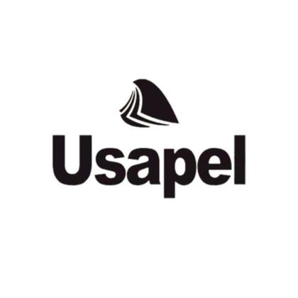Imagem de Papel verge a4 branco 120g 50 folhas usapel - kit 03 pacotes
