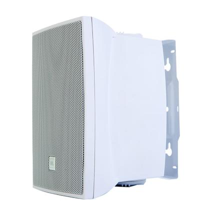 Imagem de Par Caixa Acustica Som Ambiente 30W C321B JBL