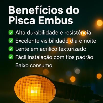 Imagem de Par de Pisca Seta com Lâmpada Completo Yamaha XT 660r 2005 2006 2007 2008 2009 2010 até 2018