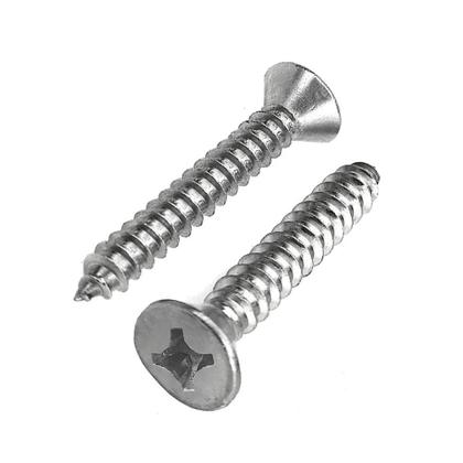 Imagem de Parafuso Auto Atarraxante Chata Philips Inox 100 Peças WM