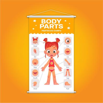 Imagem de Partes do Corpo em Inglês Menina Banner Escolar 80x50cm