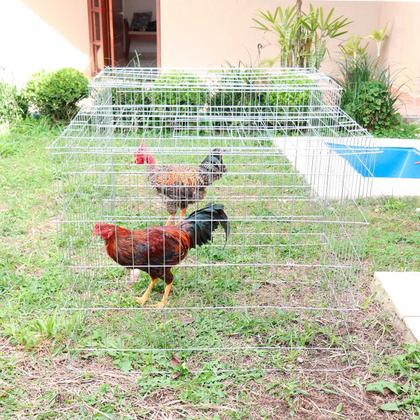 Imagem de Passeador cercado para galos e outros animais - Grande