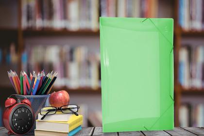 Imagem de Pasta Aba Elástica Organizadora de 40mm Com Lombo Ofício Verde Original