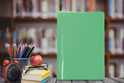 Imagem de Pasta Aba Organizadora com Grampo Trilho Sem Lombo Ofício Verde Original