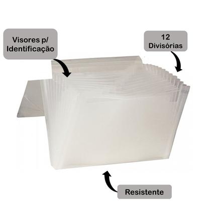 Imagem de Pasta Sanfonada 12 Divisórias Cristal A4 c/ Visor e Elástico Dello Resistente p/ Organizar Documentos Trabalhos Projetos