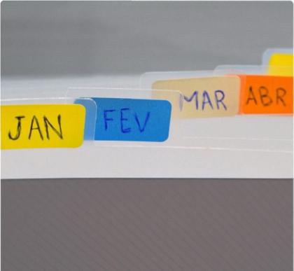 Imagem de Pasta Sanfonada Com 12 Divisórias Cheque Fumê Ref.6080pp-fm dac