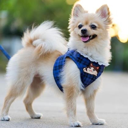 Imagem de Patch de apliques bordado AOZUO Funny Cry Cat for Gear