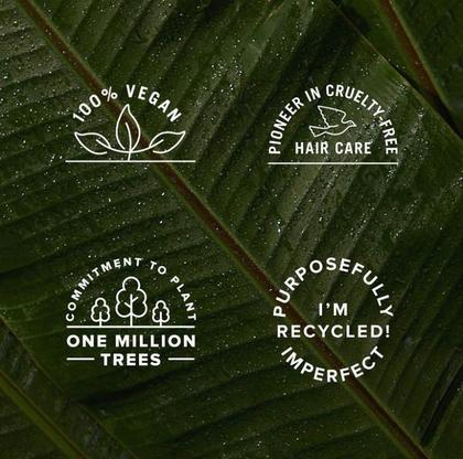 Imagem de Paul Mitchell Tea Tree Hair And Scalp - Tratamento 500Ml