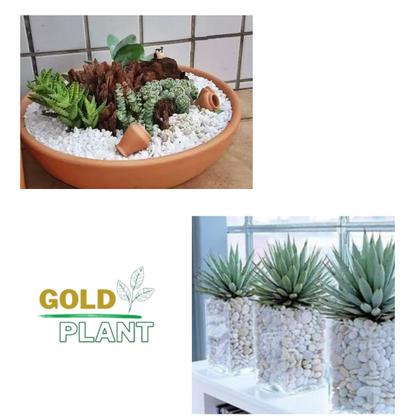 Imagem de Pedra Ornamental decoração vasos jardins dolomita seixo Branca 15 kilos N 1 - Gold Plant