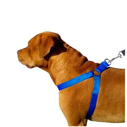 Imagem de Peitoral Coleira Com Guia Resistente Para Cachorros de Grande Porte