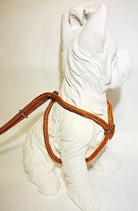 Imagem de Peitoral com Guia SOFT - Gari & Co.