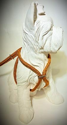 Imagem de Peitoral com Guia SOFT - Gari & Co.