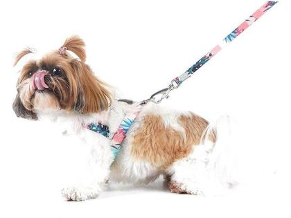 Imagem de Peitoral e Guia Toh Tradicional Laguna para Cães - Tamanho PP