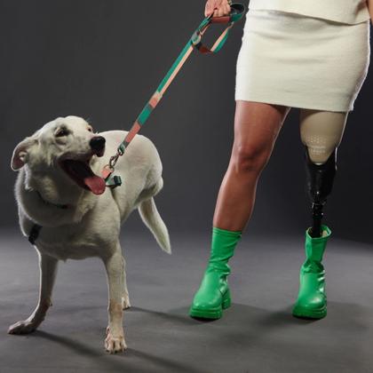 Imagem de Peitoral para Cachorro Anti Puxão com Fivela Curva Freedom