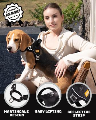 Imagem de Peitoral para Cão DF No Pull Martingale Refletivo e Ajustável