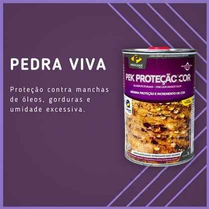 Imagem de Pek Proteção Realce Cor Efeito Molhado Pisoclean 1lt