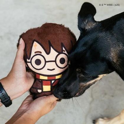 Imagem de Pelúcia Harry Potter Brinquedo Para Cães Cachorro Petiko