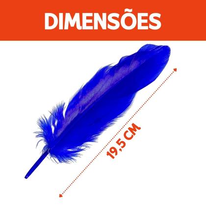 Imagem de Penas de Ganso Macia Com 100 Unidades Ideal para Decorativos e Artesanatos
