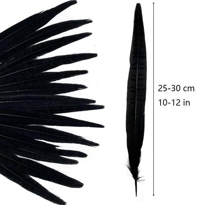 Imagem de Penas LWINGFLYER, caudas de faisão, 25-30 cm, 10 unidades, pretas