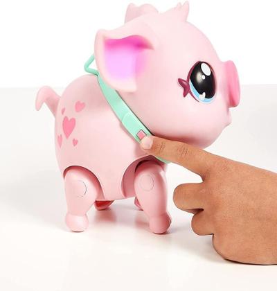 Imagem de Pequenos Animais Vivos Meu Porco De Estimao Piggly Porco