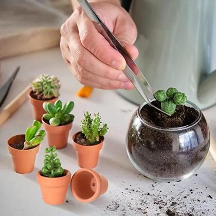 Vasos para plantas pequenas: como escolher o modelo ideal para cada ambiente 6 Image