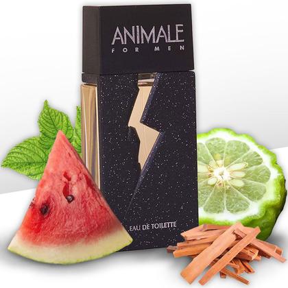 Imagem de Perfume Animale For Men Eau de Toilette Masculino 200 ml