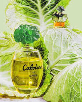 Imagem de Perfume Cabotine Gres 100 Ml Edt Feminino Original Importado Lacrado