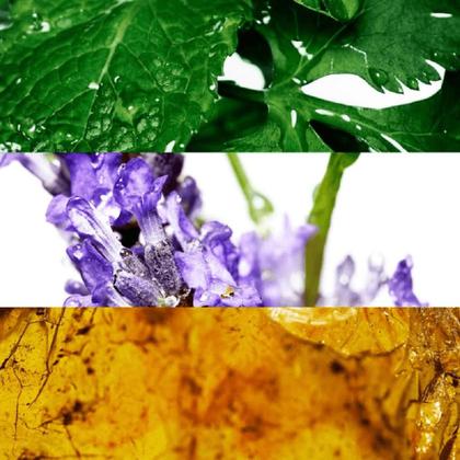 Imagem de Perfume cool water men edt 200ml