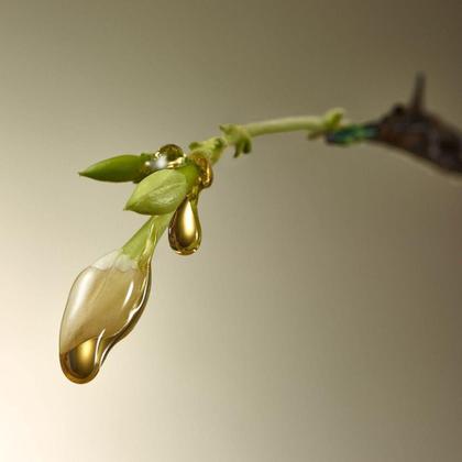 Imagem de Perfume essencial único deo parfum masculino natura