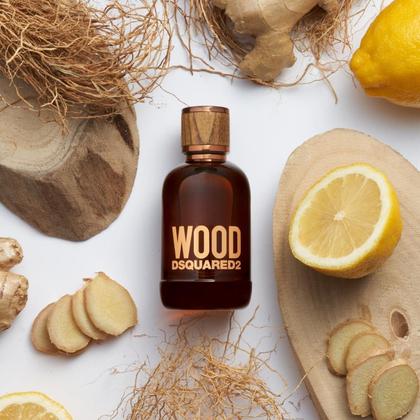 Perfume Masculino Dsquared2 Wood Eau de Toilette - 100ml - Perfume