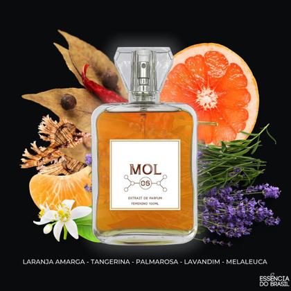 Imagem de Perfume Mol 06 - Feminino - Extrait De Parfum 100Ml