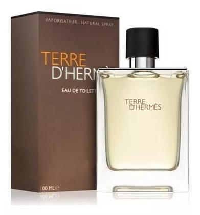 Imagem de Perfume Terre D'Hermés Eau De Toilette Masculino 100 ml