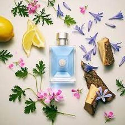 Imagem de Perfume Versace Pour Homme 100 Ml Eau De Toilette Edt Masculino Original Lacrado Importado