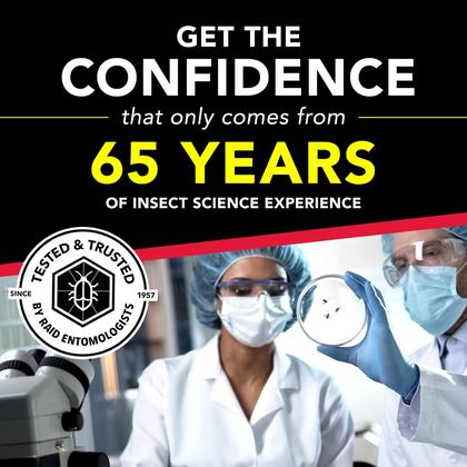 Imagem de Pesticide Raid, iscas para baratas pequenas, resistentes a crianças, 12 unidades