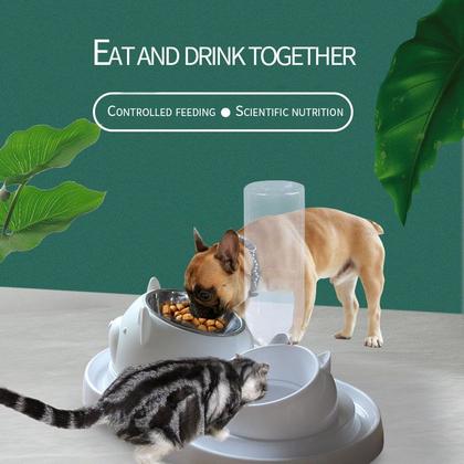 Imagem de Pet Automatic Drinking Water Feeder Inoxidável Aço Gato Cão De Alimentação Cat Bowl Raising Station Cat Double Bowl Cat Food Bowl