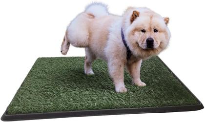 Imagem de Pet Park Banheiro Sanitário Extra Grande Tapete Eco Para Cães Chalesco