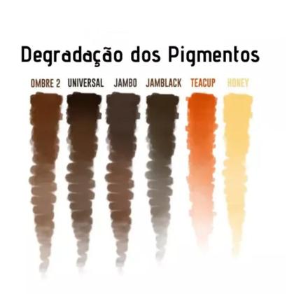 Imagem de Pigmentos para treino + pele artificial