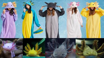 Imagem de Pijama de macacão DELEY Axolotl, fantasia unissex de Halloween para adultos