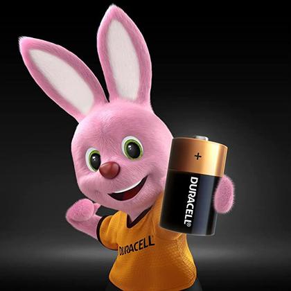 Imagem de Pilha Alcalina Duracell Grande D com 2 unid.