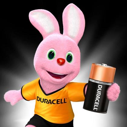 Imagem de Pilha Alcalina Média C Com 2 Unidades MN-1400 Duracell