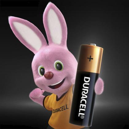 Imagem de Pilha Duracell Alcalina Pequena AA Com 2 Unidades
