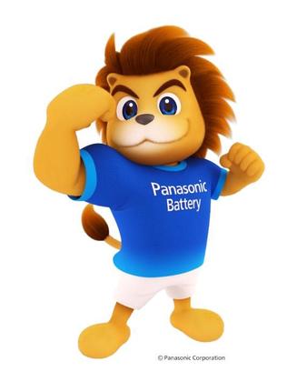 Imagem de Pilha Pequena AA Alcalina Panasonic - C/2 (12 Cartelas)