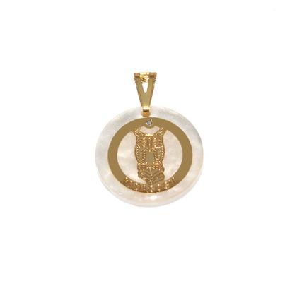 Imagem de Pingente Curso Pedagogia Coruja Folheado Ouro 18k