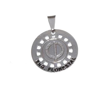 Imagem de Pingente Minha Profissão Engenharia Florestal Níquel