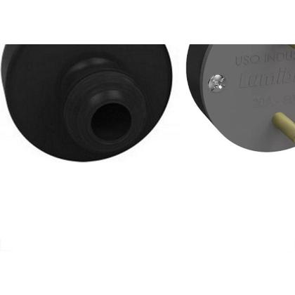 Imagem de Pino Polarizado Lumibras Flecha 220 2X20A.