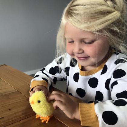 Imagem de Pintinho Amarelinho A Corda - Art Brink