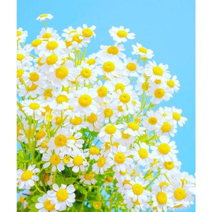 Imagem de Pintura Por Números Arte Terapia 40X50cm Margaridas