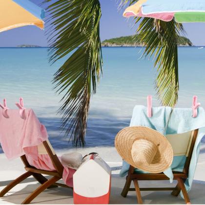 Imagem de Pinzas para Sillas de Playa PAMISO Rosas 24 PCS para Toallas/Ropa