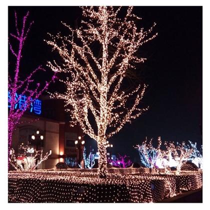 Imagem de Pisca Pisca Natal 100 Leds 10 Metros Fio Transparente Luz Decoração 110V 8 Funções Vários Cores